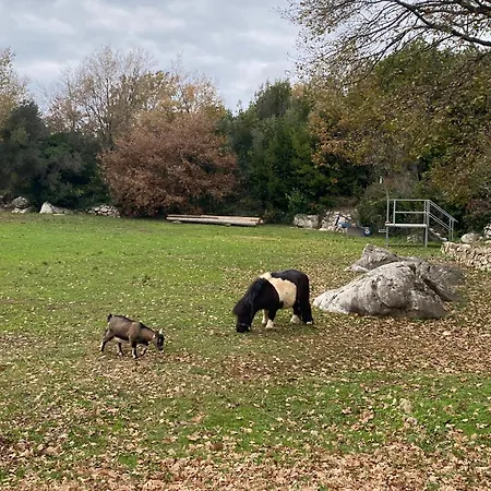 ヴィラ Meridiem In Dubrovnik Region Gruda