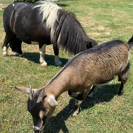 Meridiem In Dubrovnik Region ヴィラ