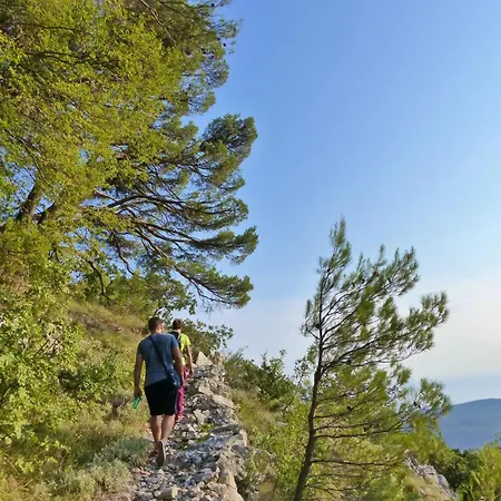 ヴィラ Meridiem In Dubrovnik Region *