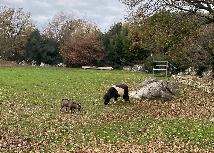别墅 Meridiem In Dubrovnik Region Gruda